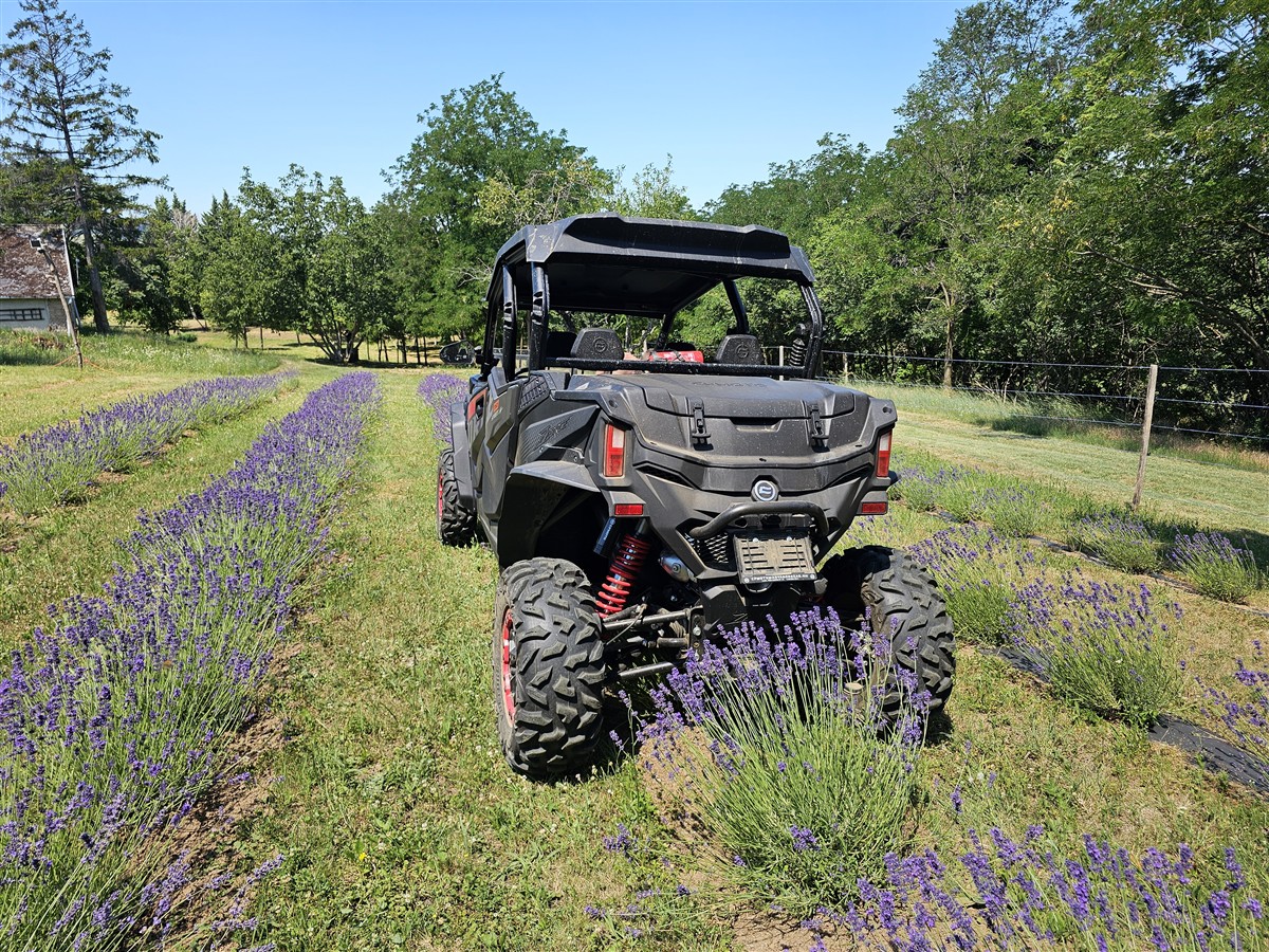 CFMoto ZForce 950 4-seater buggy off-road experience - Gallery View