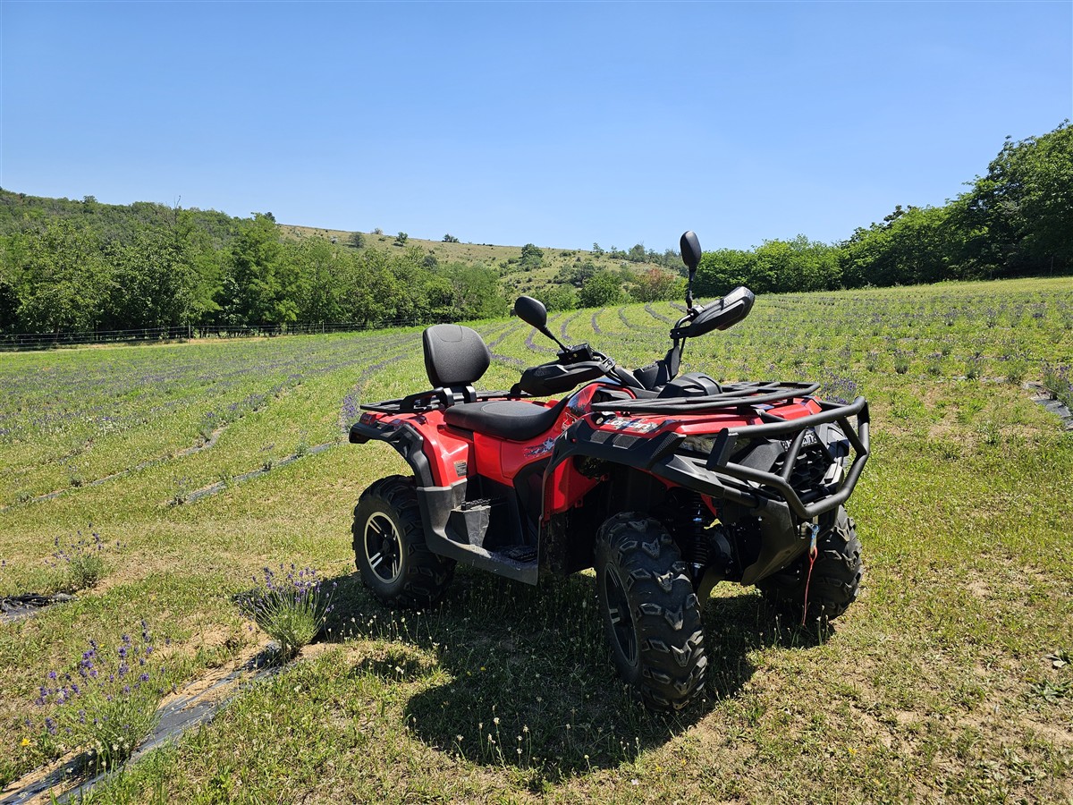 Loncin 550L ATV exploring the Kőröshegy countryside - Gallery View