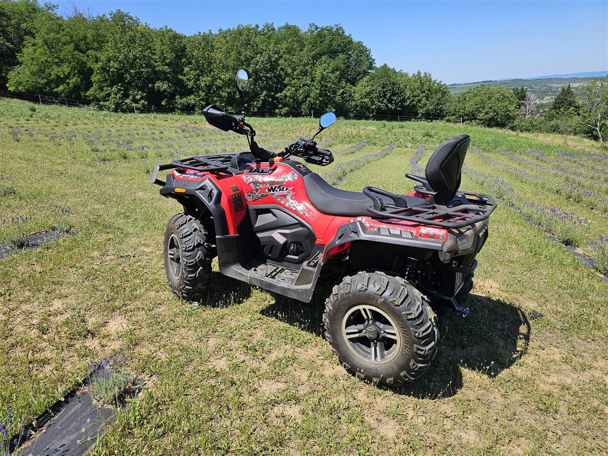 Loncin 550L ATV exploring the Kőröshegy countryside - Gallery View