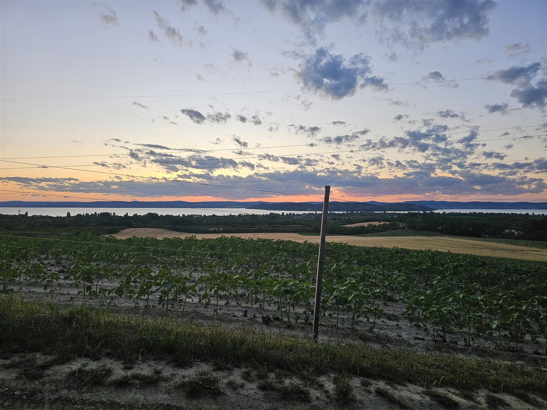 ATV on Kőröshegy panorama trail overlooking Lake Balaton - Gallery View